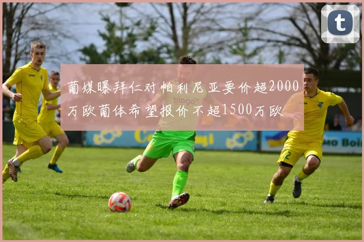 葡媒曝拜仁对帕利尼亚要价超2000万欧葡体希望报价不超1500万欧