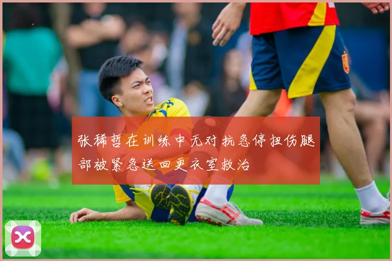 张稀哲在训练中无对抗急停扭伤腿部被紧急送回更衣室救治